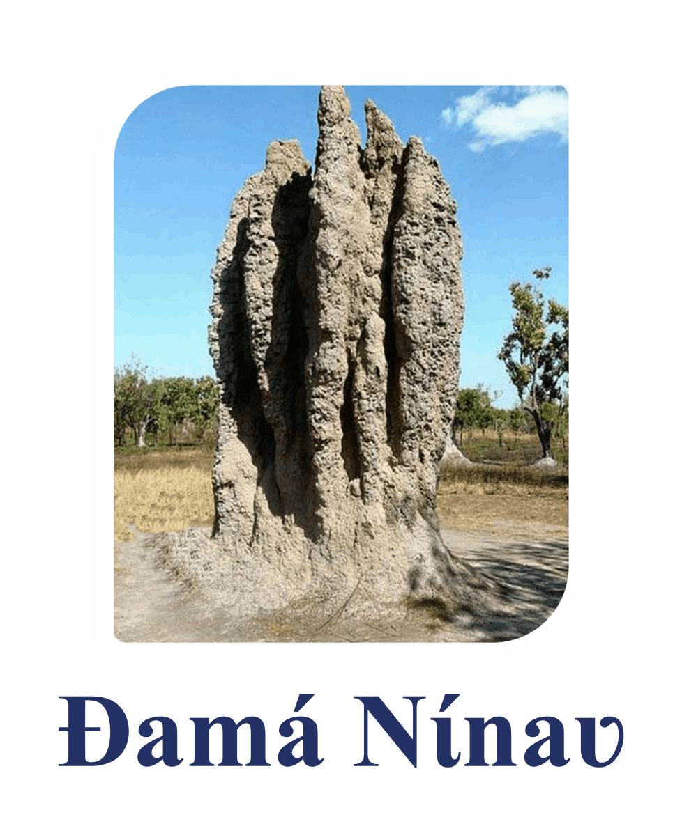 Dama Ninao